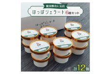 ＜北海道富良野＞はっぱジェラートのジェラート12個セット【1258067】