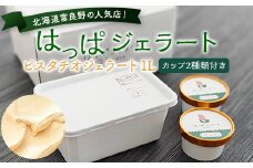 ＜北海道富良野＞はっぱジェラートのピスタチオジェラート1000ml&カップジェラート2個セット【1259637】