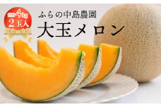 富良野市産 大玉メロン2玉入り【1266461】