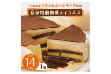 自家焙煎珈琲ティラミス 14cm×1台【1253904】
