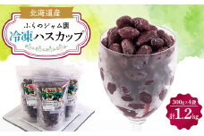 冷凍ハスカップ　300g×4袋セット(計1.2kg)_ ハスカップ 果物 フルーツ ベリー くだもの 冷凍 人気 おすすめ 送料無料 贈答 ギフト 北海道 富良野 小分け 急速冷凍 【1266328】
