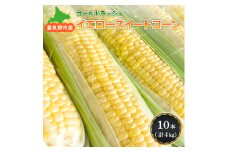 令和6年度富良野市産イエロースイートコーン　品種:ゴールドラッシュ　1本400g×10本(計4kg)【1266526】