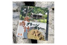 北時計　グリーンカレー　10個セット【1272591】