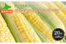 令和6年度富良野市産イエロースイートコーン　品種:ゴールドラッシュ　1本400g×20本(計8kg)【1277697】