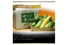 2022年3月発送開始『定期便』＜北海道富良野市からお届け＞お米10kg×3種・野菜・メロン全7回【5054329】