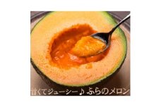 2022年6月発送開始『定期便』＜北海道富良野市からお届け＞お米10kg・野菜・メロン全4回【5054330】