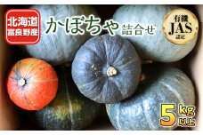 ＜先行受付＞富良野産かぼちゃ詰合せ5kg以上 ＜JAS認証　有機栽培＞【1146690】