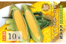 朝もぎとうもろこし　10本　北海道富良野市『大島農園』【1261687】