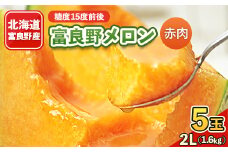富良野メロン　2Lサイズ(1.6kg)赤肉　5玉入り【1280999】