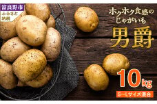 北海道富良野産　男爵(SサイズからLサイズ混合)10kg【1280348】