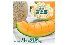 北海道富良野メロン『厳選』BIGサイズ1玉(約2.5kg)_ メロン 果物 くだもの フルーツ 北海道 富良野 赤肉 大玉 富良野メロン 贈答 ギフト 送料無料 お取り寄せ 人気 おすすめ 【1286284】