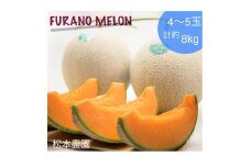富良野メロン『厳選』4～5玉入(計約8kg)_ メロン めろん 富良野メロン 赤肉 フルーツ くだもの 果物 ふるーつ 青果 北海道 富良野 産直 産地直送 甘い 高糖度 贈答 ギフト 常温 季節限定 人気 【1286288】