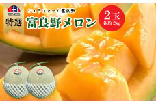 特選 富良野メロン(赤肉)　2玉(大玉・各約2kg)【1272073】