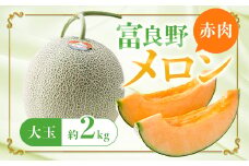 特選 富良野メロン(赤肉)　1玉(大玉・約2kg)【1272070】