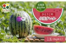 ひとりじめ小玉すいか　1玉【1318921】