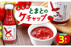 ＜北海道産トマト使用＞ふらの とまとのケチャップ 400g×3本入_ ケチャップ トマトケチャップ 北海道 富良野 北海道産トマト 国産 調味料 粗ごし 完熟トマト 便利 人気 おすすめ 贈答 ギフト 送料無料 セット 3本 ご当地 パスタソース ふらの 【1325670】