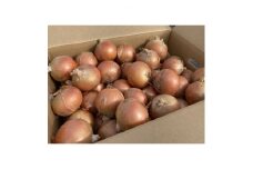 ＜先行受付＞玉ねぎ　1箱(20kg)_ 玉ねぎ たまねぎ 野菜 やさい 北海道 富良野 人気 おすすめ 送料無料 産地直送 お取り寄せ しゃきしゃき ポトフ 前多農場 【1308643】