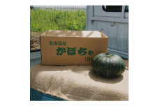 ＜先行受付令和5年9月中旬より発送予定＞北海道富良野産えびすかぼちゃ無選別約10kg(4～10玉入)【1333401】