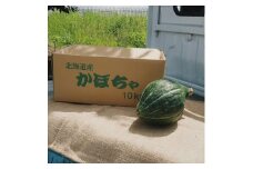 ＜令和4年9月中旬より発送予定＞北海道富良野産かぼちゃ ロロン 約10kg(4～10玉入)【1333406】