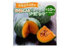 ＜令和7年9月中旬より発送予定＞北海道富良野産かぼちゃ特濃こふき無選別 約10kg(4～10玉入)【1333408】