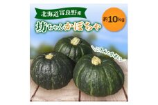 ＜先行受付　令和7年9月中旬より発送予定＞富良野産坊ちゃんかぼちゃ 無選別 約10kg【1333801】