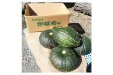 ＜令和4年9月中旬より発送予定＞北海道富良野産かぼちゃ 4種セット 無選別 約10kg【1333804】