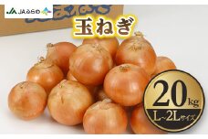 JAふらのの玉ねぎ・L～2Lサイズ　20kg【1352525】
