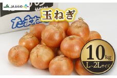 JAふらの　玉ねぎ・L～2Lサイズ　10kg【1352640】