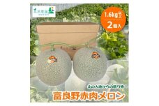 富良野赤肉メロン1.6kg以上×2個入【1364871】