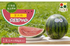 富良野産大玉すいか「夏大地」Lサイズ6kg以上　1玉【1372198】