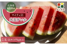 富良野産大玉すいか「マイティ21」2Lサイズ7kg以上　1玉【1372210】