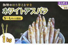 2026年先行予約　北海道富良野産 ホワイトアスパラ 1kg SからLサイズ混合_ アスパラ アスパラガス ホワイトアスパラ 野菜 国産 北海道産 富良野 産地直送 旬 生 冷蔵 とれたて 新鮮 送料無料 贈答 ギフト 朝どれ 【1380121】
