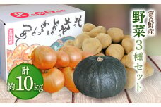 ＜先行受付＞＜2025年10月上旬より発送＞富良野野菜10kgセット(じゃがいも・玉ねぎ・かぼちゃ)【1384061】