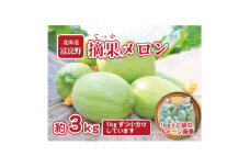 摘果メロン　3kg(1kg×3袋)お漬物用【1394510】