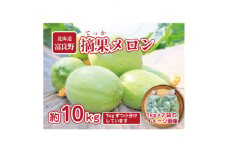 摘果メロン　10kg(1kg×10袋)お漬物用【1394511】
