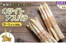 2026年先行予約 北海道富良野産 ホワイトアスパラ S～Lサイズ混合 2kg【1399151】