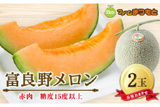 厳選富良野メロン(品種おまかせ)赤肉(1.6～2.0kg)×2玉入　糖度15度以上【1398873】