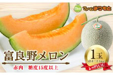 厳選富良野メロン(品種お任せ)(2.0～2.5kg)赤肉1玉入　糖度15度以上【1398927】