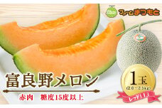 ＜美味秋のメロン＞富良野メロン(レッド113)赤肉(2.0～2.5kg)1玉入　糖度15度以上_ メロン めろん 富良野メロン 赤肉 レッド 富良野 北海道 産直 産地直送 甘い 贈答 ギフト高糖度 旬 果物 くだもの フルーツ 青果 ふるーつ 果実 1玉 【1398945】