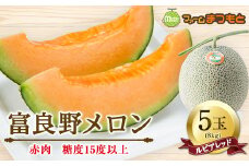 富良野産　富良野メロン(ルピアレッド)　赤肉5玉入(内容量8kg)　糖度15度以上【1400098】