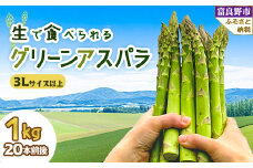 2026年先行予約「生」で食べられる グリーンアスパラ　極太サイズ 3L以上 1kg 北海道富良野産【1400426】