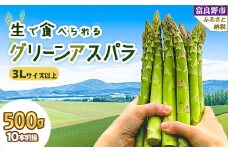 2026年先行予約　「生」で食べられる グリーンアスパラ　極太3L以上 500g(10本前後)【1400427】