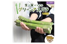 2026年先行予約生で食べられるアスパラ　北海道富良野産 グリーンアスパラガス 2Lサイズ 500g【1400594】