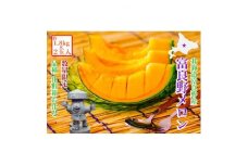 ＜2026年発送　先行受付＞富良野メロン(赤肉)化粧箱と品種お任せ約1.8kg～2玉入【1405314】