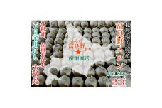 富良野メロン(赤肉)化粧箱と品種お任せ約1.6kg～2玉入【1405315】