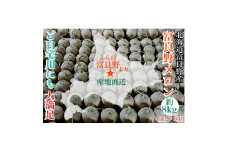＜2026年発送　先行受付＞富良野メロン(赤肉)ご自宅用にも　4玉～6玉　計約8kg【1405316】