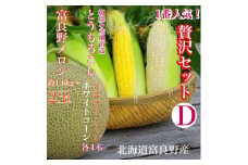 「贅沢セットD」北海道富良野産 赤肉メロン2玉 / とうもろこし 白いとうもろこし_ メロン 富良野メロン とうもろこし コーン 赤肉 フルーツ 果物 くだもの ふるーつ 野菜 ギフト 贈答 産直 北海道 【1405520】