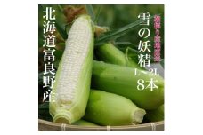 朝採り白いとうもろこし「雪の妖精」北海道富良野産 L～2L 8本入_ とうもろこし コーン トウモロコシ 野菜 ホワイトコーン 朝採れ 人気 産地直送 甘い 送料無料 希少 限定 人気 おすすめ 北海道 【1405986】