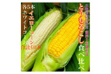 食べ比べホワイトコーンとイエローコーン朝採り当日発送富良野産よくばりセット合計10本【1405477】