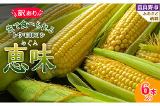 生で食べられるトウモロコシ　訳あり　恵味(めぐみ)　6本入り【1417282】